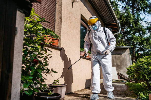 Professional Pest Control in St Paul Park, MN