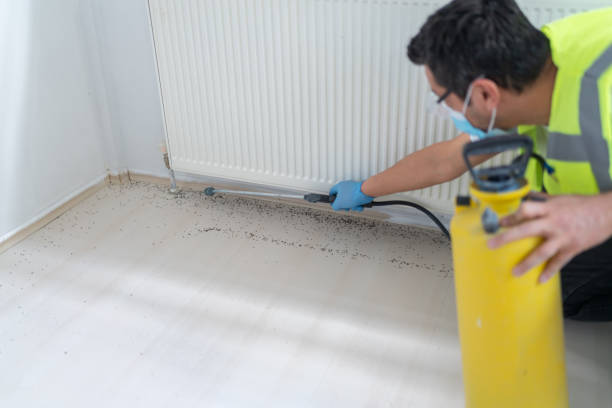 Best Bed Bug Extermination  in St Paul Park, MN